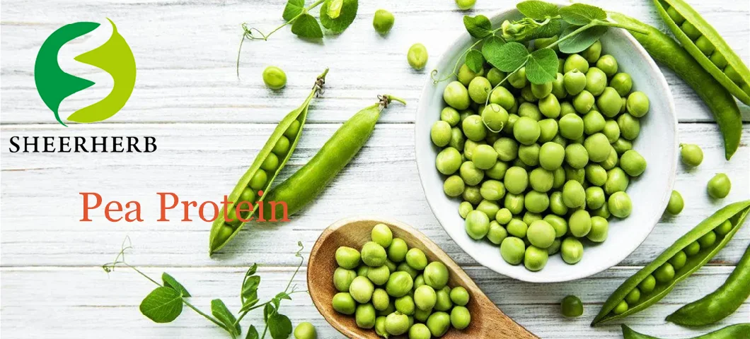 Best Price on-GMO Pea Plant Protein Powder 75% 80% 85% Pure Vegan Pea Protein