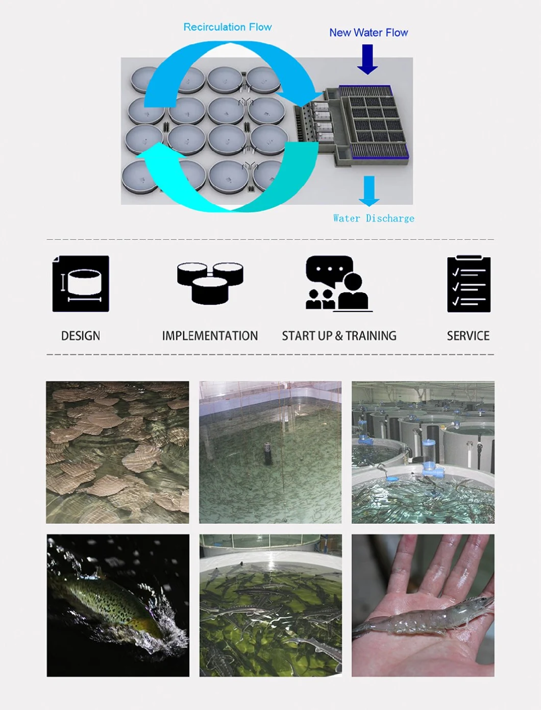 Kingto Automatic Drum Filter for Aquaculture Water &amp; Landscape Pond Water Filtration