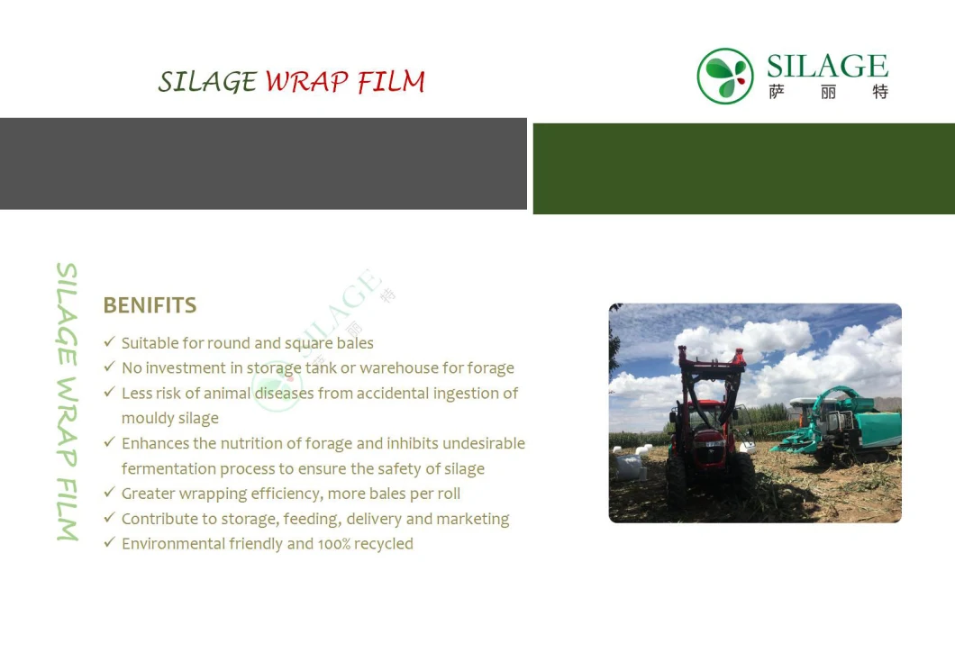 Alfalfa Silage Wrap Film for Packing Ruminant Fodder