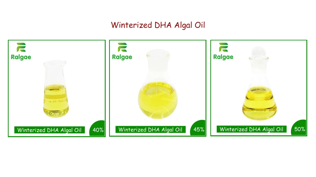 Winterized Vegan Omega -3 Oil DHA Algal Oil 50% DHA No EPA for Vegetarian Nutrition Dietary Supplement Softgel CAS6217-54-5