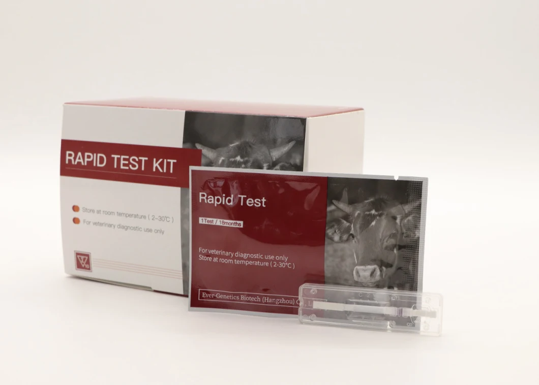 Swine Fever Test Kit African Pig Fever Antibody Rapid Diagnostic Test