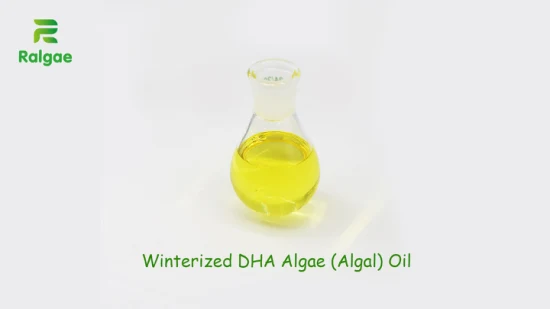 Natural Vegan Omega 3 Oil DHA Algal Oil 40% DHA Food Grade Winterized Grade CAS6217-54-5