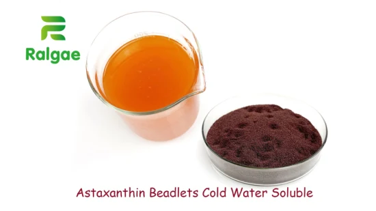 Astaxanthin Beadlets 2% Cold Water Soluble Antioxidant Nutrient Dietary Health Nutrition