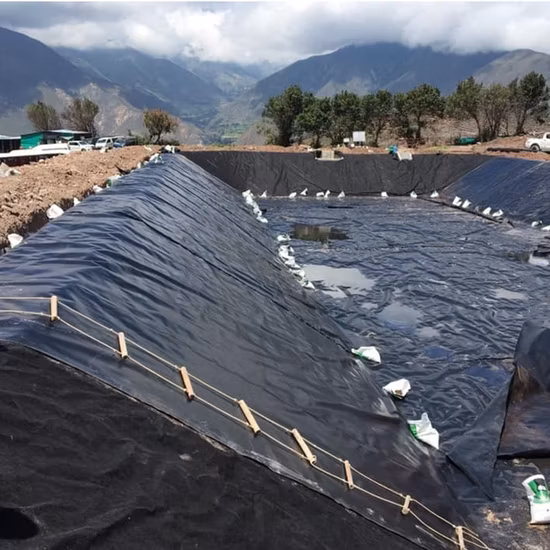 Best price hdpe membrane dam landfill aquaculture fish farm hdpe geomembrane pond liner