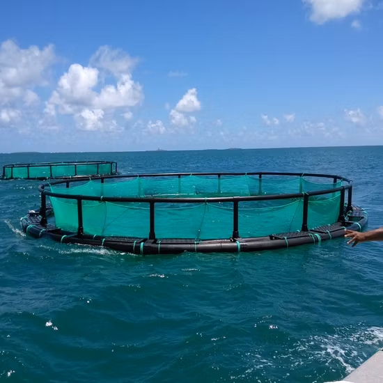 Aquaculture Floating Fish Farming Net Cage