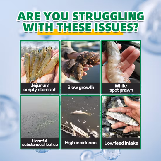 Aquaculture Hard Shell Calcium Meal Feed Additive