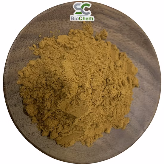 Factory Supply Cinnamon Polyphenols 10% 20% 30% with The Best Price